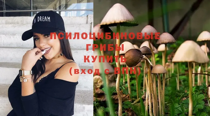 Псилоцибиновые грибы Cubensis  продажа наркотиков  Карталы 